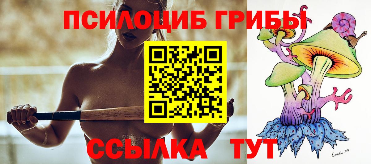 Псилоцибиновые грибы Psilocybe  Галлюциногенные грибы мицелий  Железногорск  Вход с VPN 